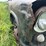 chevy-400-truck-with-minneapolis-moline-corn-sheller-image-30