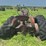 ji-case-tractor-image-4