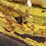 john-deere-gm-image-37