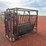 cattle-chute-image-5