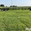2023-demco-hdht-38-t/a-header-trailer-image-4