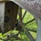 mccormick-deering-titan-10-20-image-56