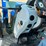 2016-new-holland-t4.120-image-66
