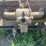 hart-parr-50-stationary-power-unit-image-23