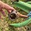 krone-242-9'-3-pt-disc-mower-image-10
