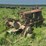 farmall-f30-image-5
