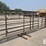 24'-free-standing-panel-w/-12'-swing-gates-(bid-per-unit)-image-3