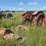 allis-chalmers-25-40-parts-image-1