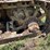 caterpillar-thirty-image-51