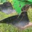 #7466-•-john-deere-moldboard-plow-image-15