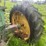 john-deere-70-image-19