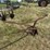 horse-drawn-potato-plow-image-3