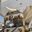 1995-ray-man-t/a-fertilizer-tender-trailer-image-14