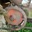 huber-4-cylinder-tractor-image-33