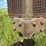 john-deere-g-image-10