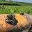 minneapolis-moline-u-image-39