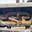 caterpillar-forty-diesel-crawler-image-27