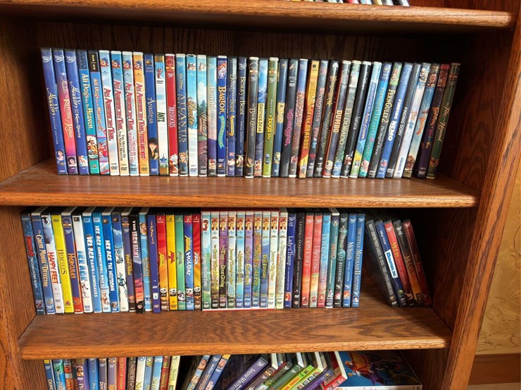 bookshelf-with-dvds---(assorted-dvd's)-the-shelf-is-82”-tall-by-36”-wide.-image-5