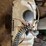 lawn-sprayer-image-3