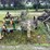 #7491-•-antique-john-deere-mower-image-6