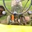 #6679-•-1953---1955-john-deere-tractor-image-23