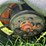allis-chalmers-model-uc-image-28