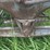 mccormick-deering-10-20-image-16