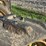 john-deere-model-a-image-29