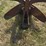 horse-drawn-potato-plow-image-12