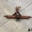 3-pt-trailer-hitch-image-8