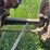 allis-chalmers-u-image-15