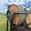 chevy-400-truck-with-minneapolis-moline-corn-sheller-image-86
