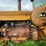 minneapolis-moline-m5-image-23