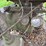 john-deere-g-image-47