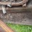 chevy-400-truck-with-minneapolis-moline-corn-sheller-image-63