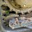 2019-bobcat-t770-image-21