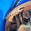 john-deere-12-image-16