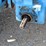 ford-tractor-image-7