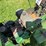 john-deere-l-image-4