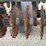 case-ih-330-image-10