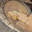 caterpillar-955l-image-7