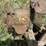 john-deere-5-image-13