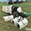 service-systems-engineering-3-pt-sprayer-image-5