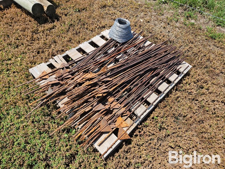 electric-fence-&-steel-posts-image-1