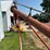 6-inch-x-17ft-auger-image-5