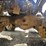 1998-mack-rd688s-image-111