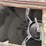 #381-•-h&s-grinder-mixer-image-10