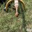 countyline-tsc-21-0220-post-hole-digger-image-9