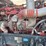 peterbilt-389-image-10
