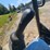 bobcat-325-image-42